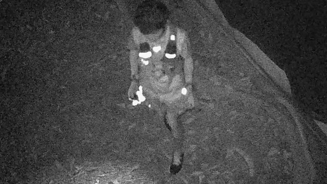 Individual apprehended for alleged rat poison found in stray cat food at Kowloon Park